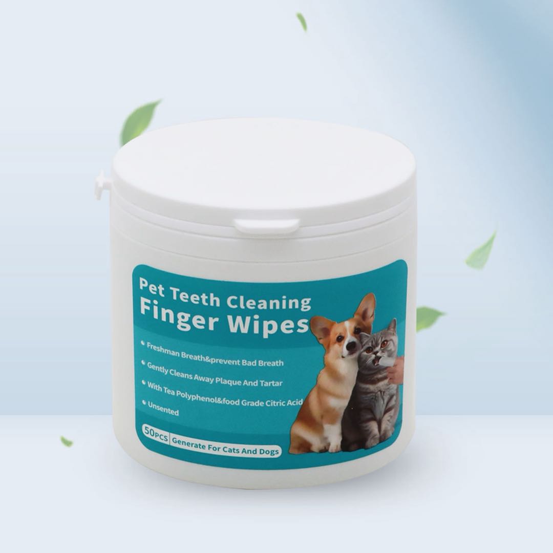 Eco-Friendly Dental Wipes 50pcs/Pack
