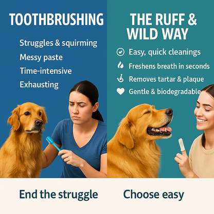 Eco-Friendly Dental Wipes 50pcs/Pack