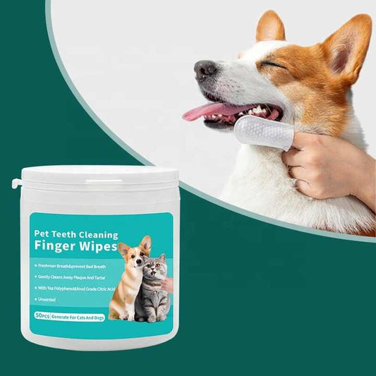 Eco-Friendly Dental Wipes 50pcs/Pack