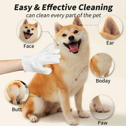 Hypoallergenic Pet Cleaning Glove Wipes (Unscented)