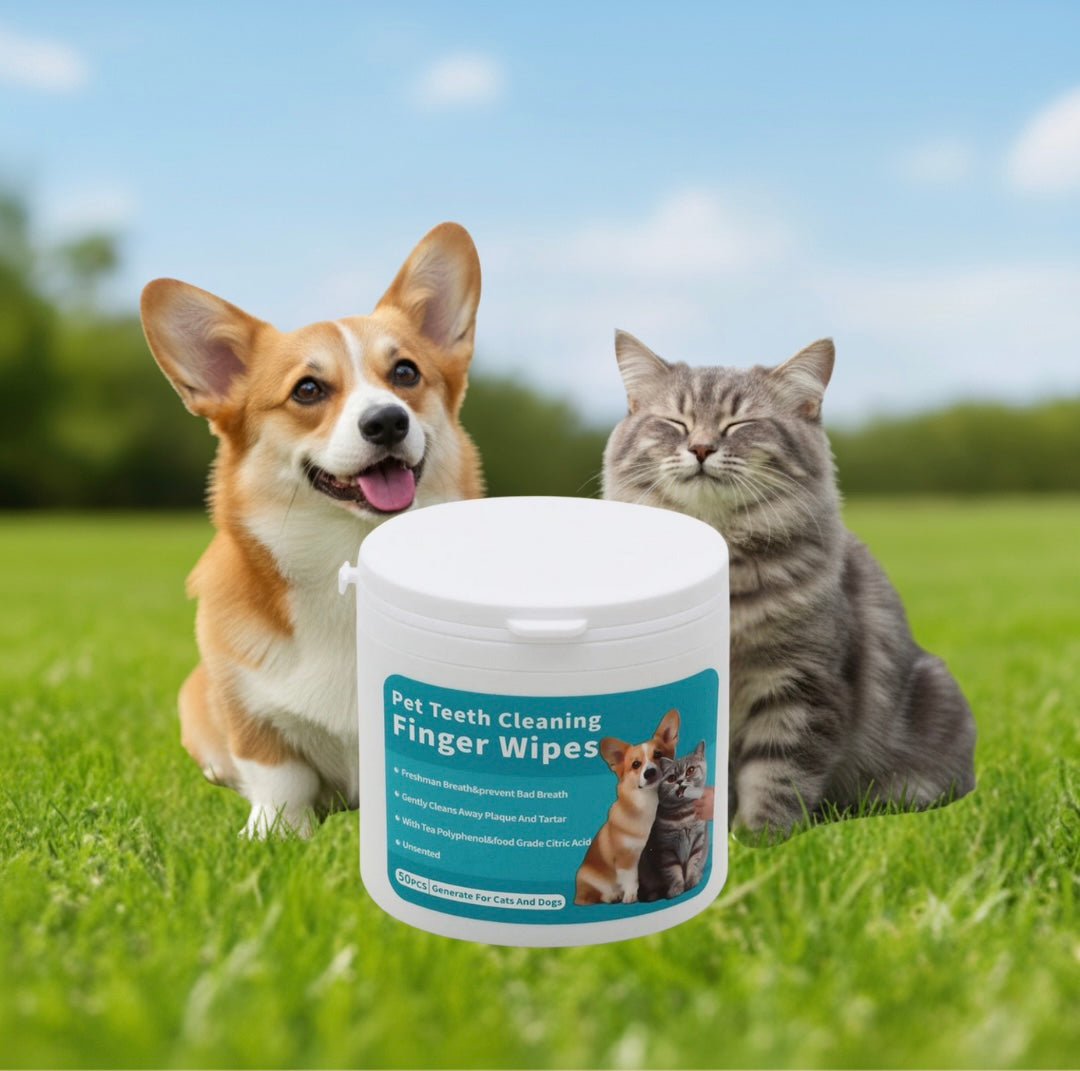 No-Rinse Grooming Glove Wipes & Dental Wipes — Clean in 60 Seconds