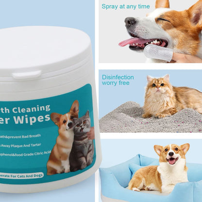 Eco-Friendly Dental Wipes 50pcs/Pack